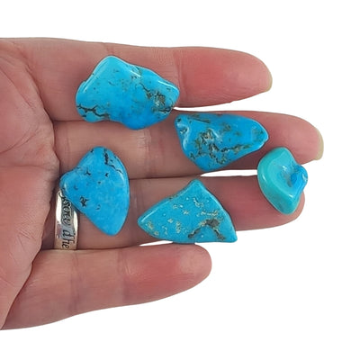 Turquoise (Sleeping Beauty) Crystal Tumblestones from Arizona, USA