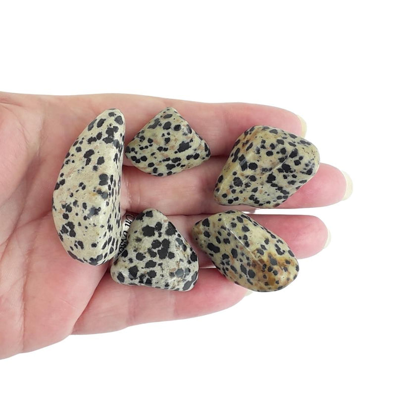 Dalmatian Stone (Jasper) Crystal Tumblestones from South Africa