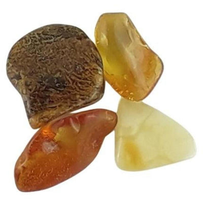 Amber Tree Resin Crystal Tumblestones from Poland - Choice of Sizes - TK Emporium