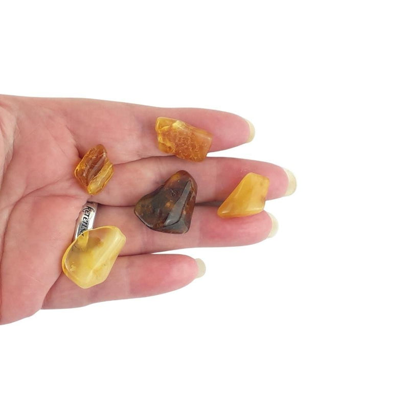Amber Tree Resin Crystal Tumblestones from Poland - Choice of Sizes - TK Emporium