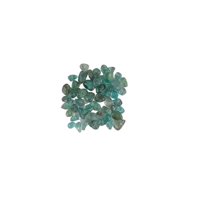 Apatite (Light) A Grade Gemstone Bead Chips, 50 Pieces or Full Strand - TK Emporium