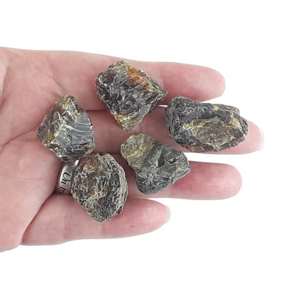 Black Amber (Jet) Rough Crystal Stones from Sumatra - Choice of Sizes - TK Emporium