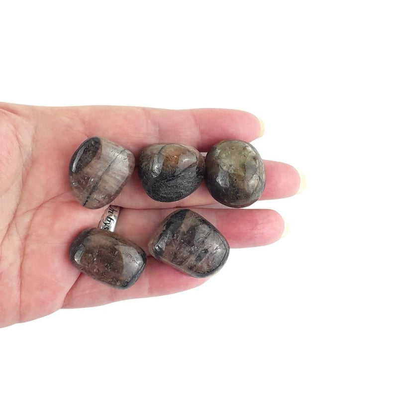 Chiastolite Brown Crystal Tumblestones from Russia - Choice of Sizes - TK Emporium