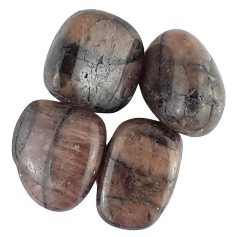 Chiastolite Brown Crystal Tumblestones from Russia - Choice of Sizes - TK Emporium