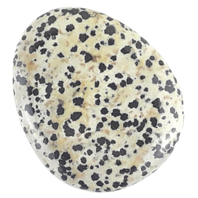 Dalmatian (Jasper) Thumb / Worry Stone from South Africa - Size Choice - TK Emporium
