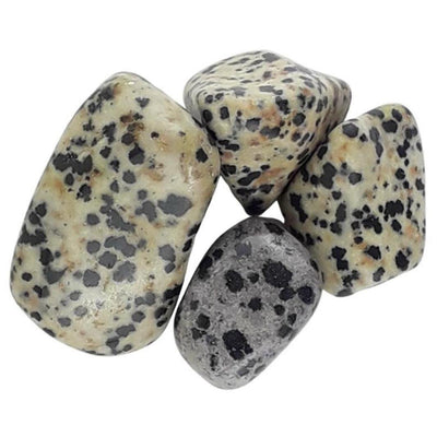 Dalmatian Stone (Jasper) Tumblestones - TK Emporium