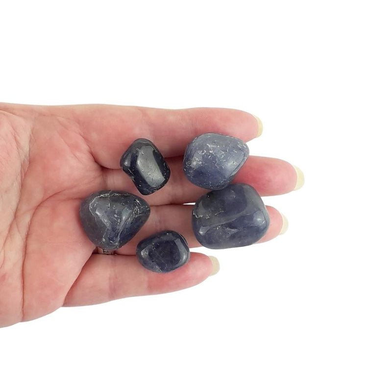 Iolite (Water Sapphire) Tumblestones - TK Emporium