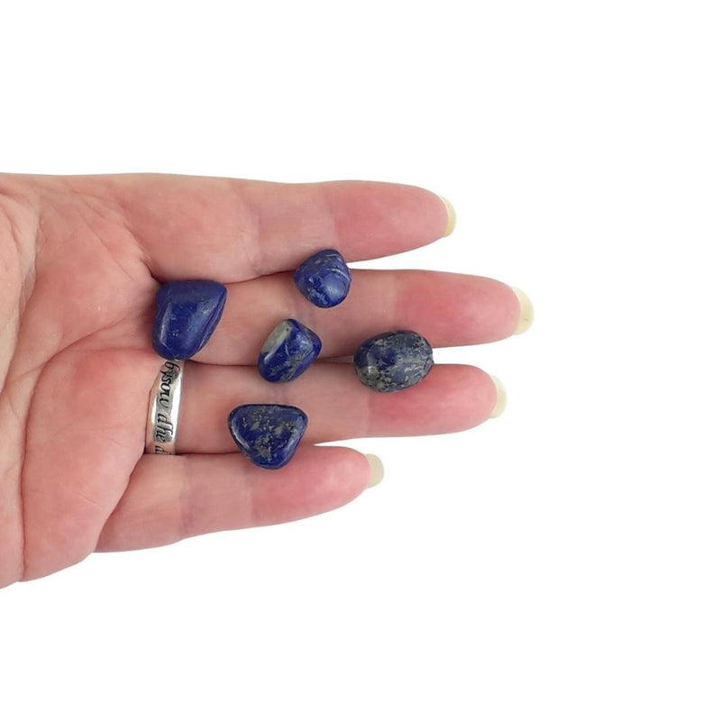 Lapis Lazuli Tumblestones - TK Emporium