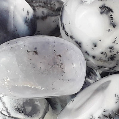 Merlinite (Dendritic Agate) Crystal Pebbles - TK Emporium