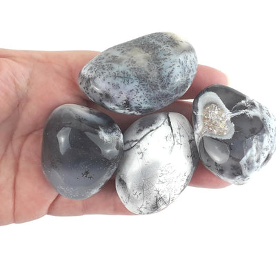 Merlinite (Dendritic Agate) Crystal Pebbles - TK Emporium