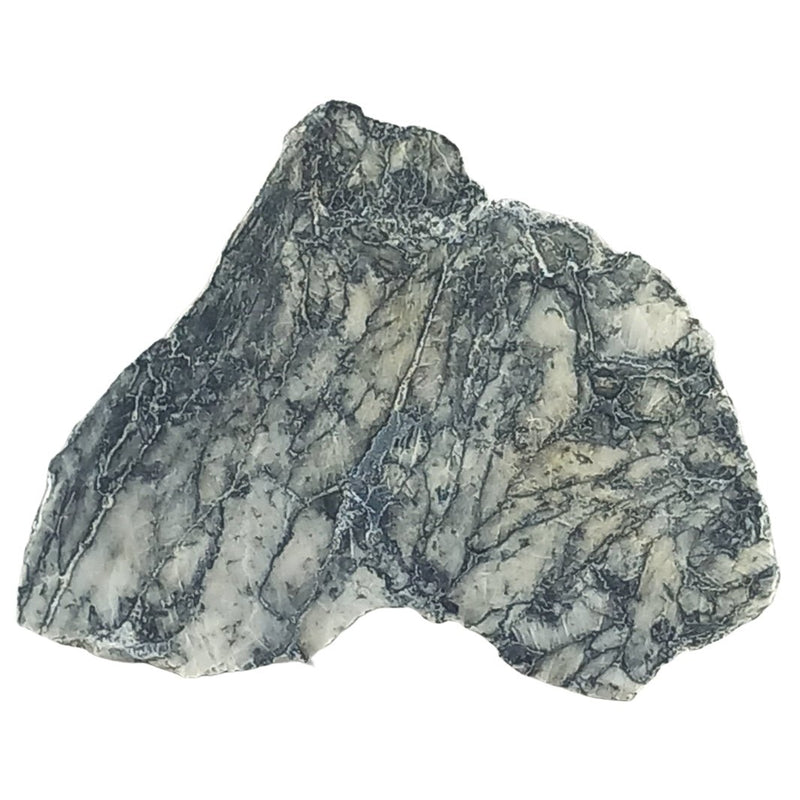 Pinolith Crystal Slice from Austria, Part Polished Pinolite Stone - TK Emporium
