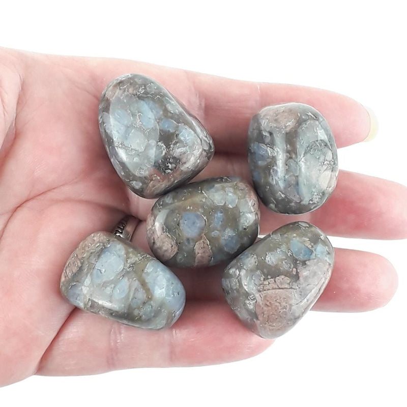 Que Sera Stone (Llanite) Multi Colour Crystal Tumblestones from Brazil - TK Emporium