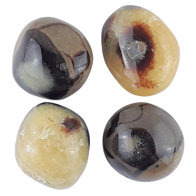 Septarian (Dragon Stone) Crystal Tumblestones from Madagascar - TK Emporium