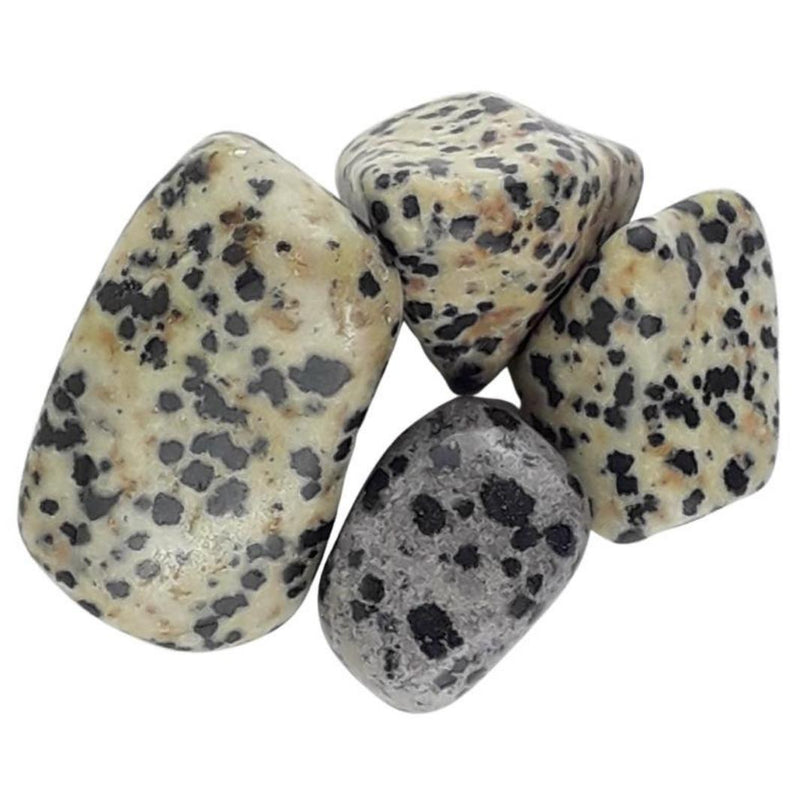 Wholesale Pack of 10 Dalmatian Stone (Jasper) Crystal Tumblestones - TK Emporium