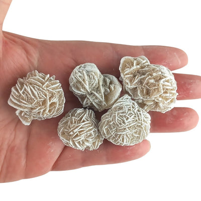 Wholesale Pack of 10 Desert Sand Rose Selenite Rough Crystals - TK Emporium