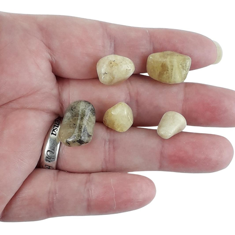Wholesale Pack of 10 Golden Beryl (Heliodor) Crystal Tumblestones - TK Emporium