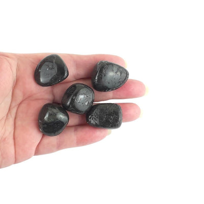 Wholesale Pack of 10 Larvikite (Norwegian Moonstone) Tumblestones - TK Emporium