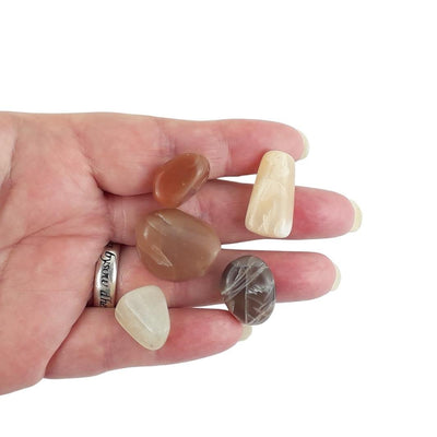 Wholesale Pack of 10 Moonstone Crystal Tumblestones from India - TK Emporium