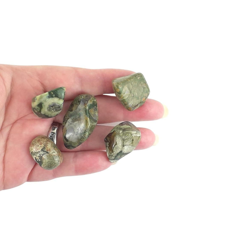 Wholesale Pack of 10 Rhyolite (Rainforest Jasper) Crystal Tumblestones - TK Emporium