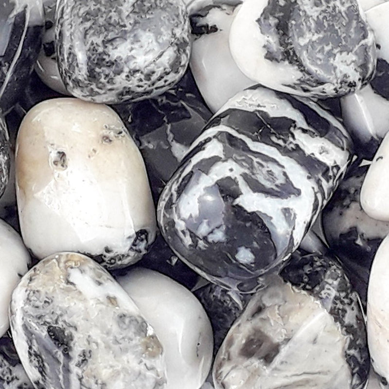 Zebra Jasper Tumblestones from South Africa, Black and White Gemstones - TK Emporium